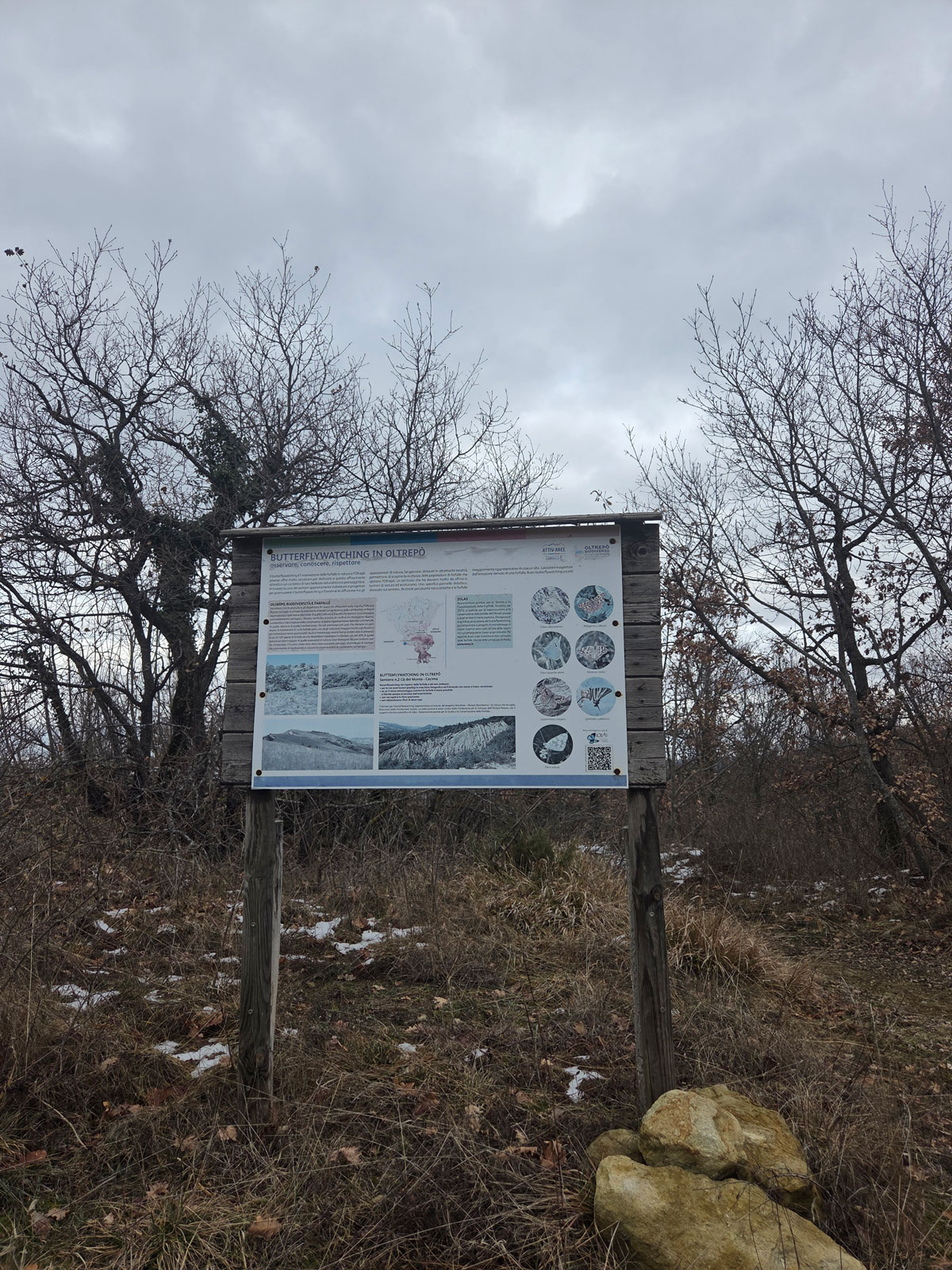 Cartellonistica su "Butterflywatching in Oltrepò"