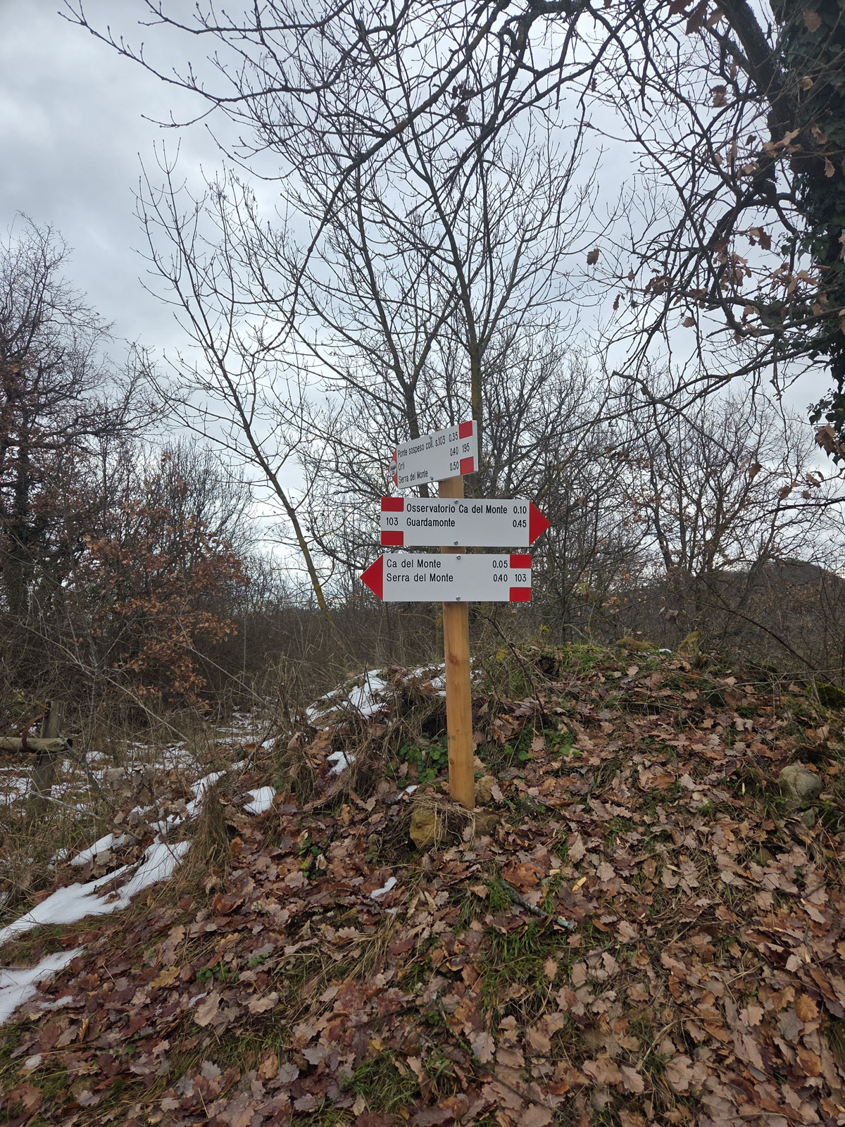 Segnaletica CAI verso Ponte sospeso (2)