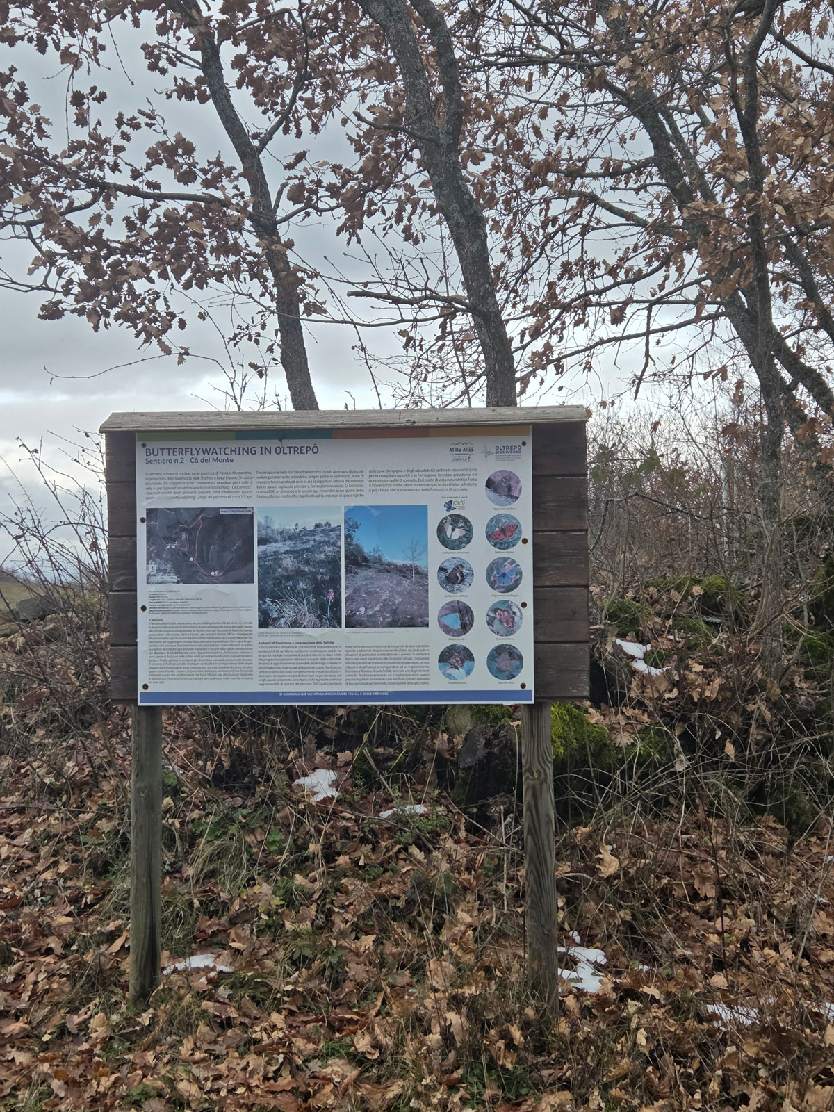 Cartellonistica su "Butterflywatching in Oltrepò"