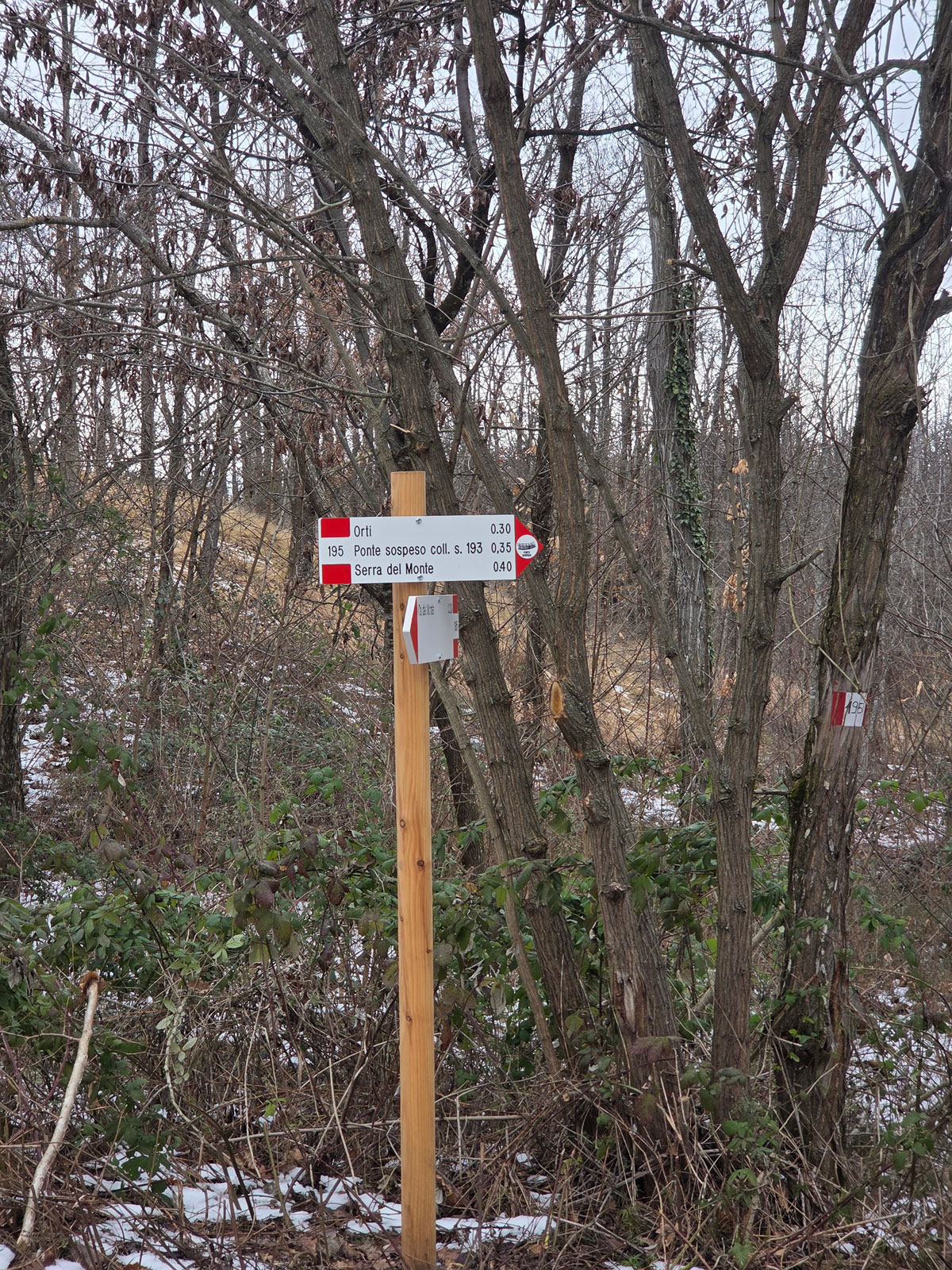 Segnaletica CAI verso Ponte sospeso (1)